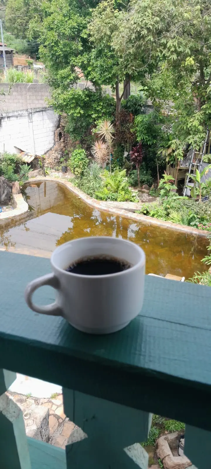 Xícara de café na varanda com vista para o verde e para a piscina de pedra